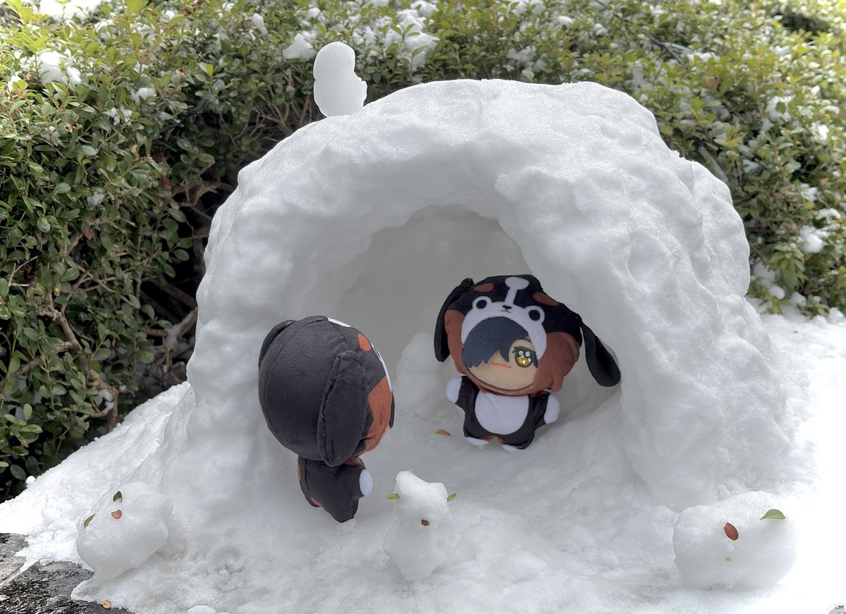 こーさき (@37lalalaxxx) / Posts / X