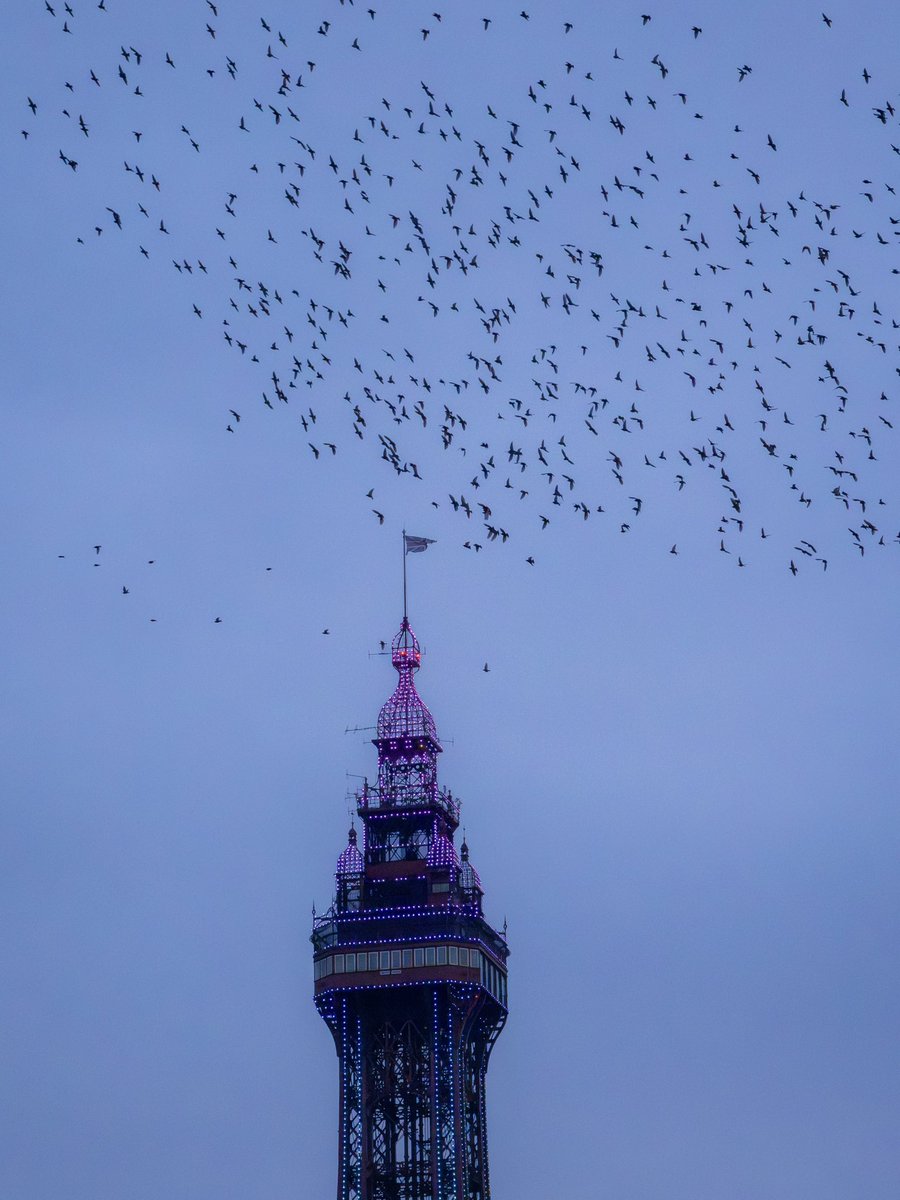 Joanna 📷 tweet media