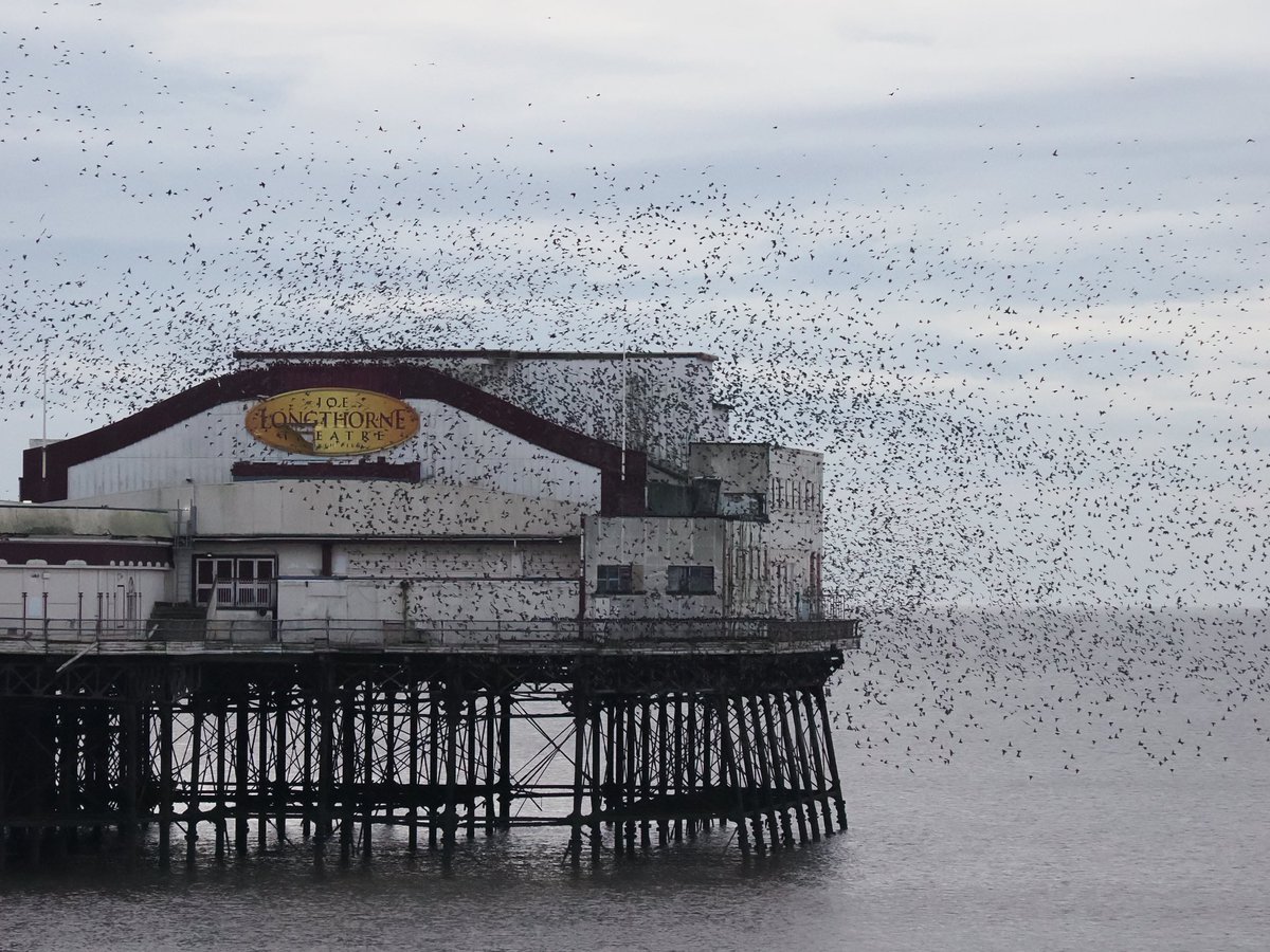 Joanna 📷 tweet media