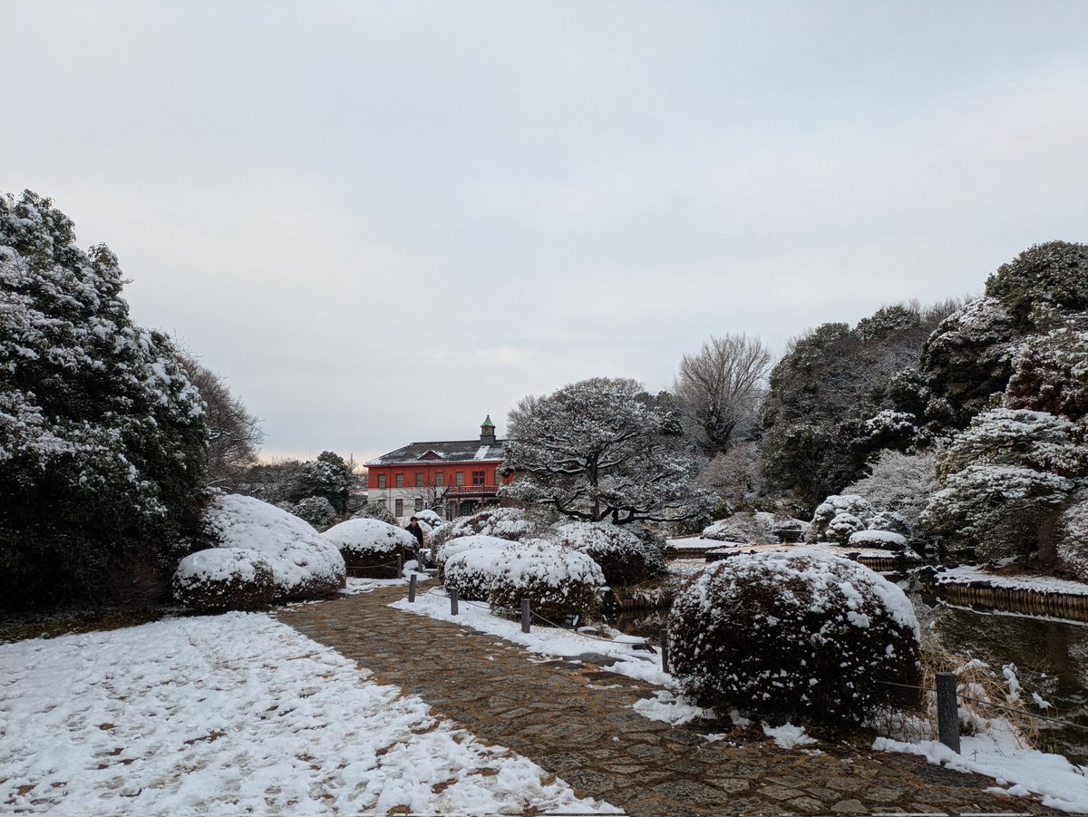 Tokyo_2506's tweet photo. 雪の植物園。
#小石川植物園 https://t.co/XZsFFmdthK