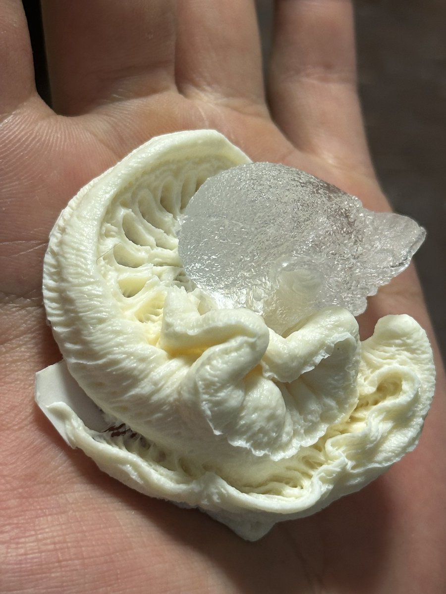 ハロ Mk-2 tweet media