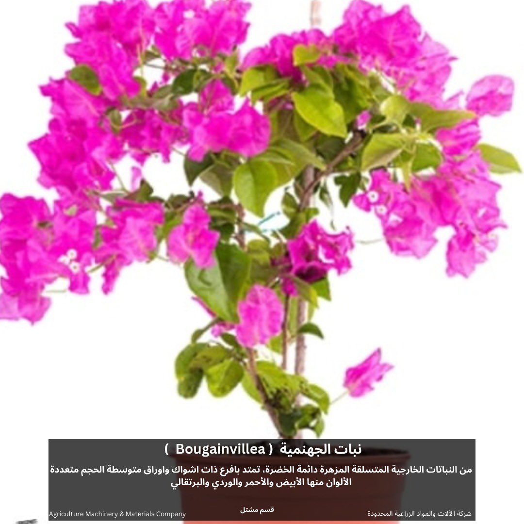 AMMC Agriculture - شركة الآلات والمواد الزراعية tweet media