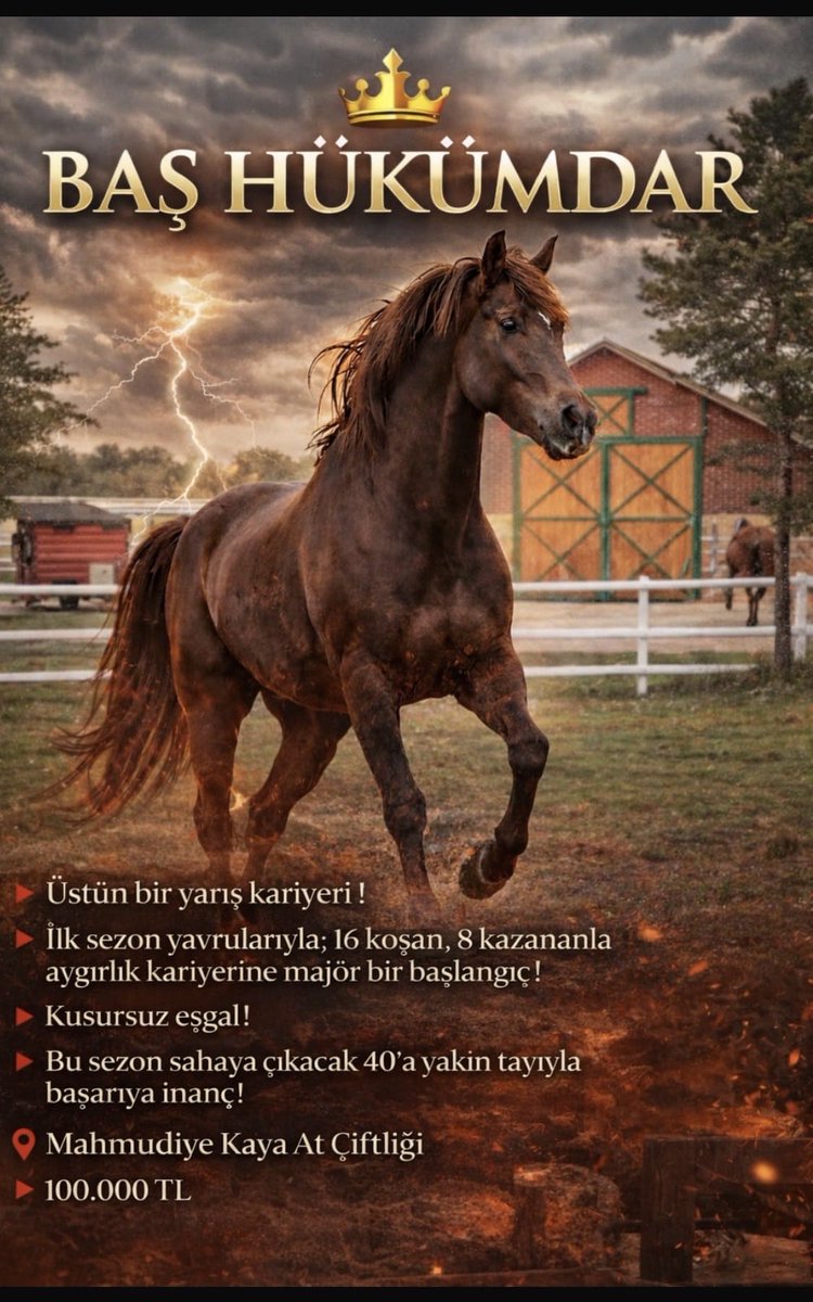 İyi Yayınlar iyi pazarlar <a href="/cantinazhakan/">Hakan Cantınaz</a>