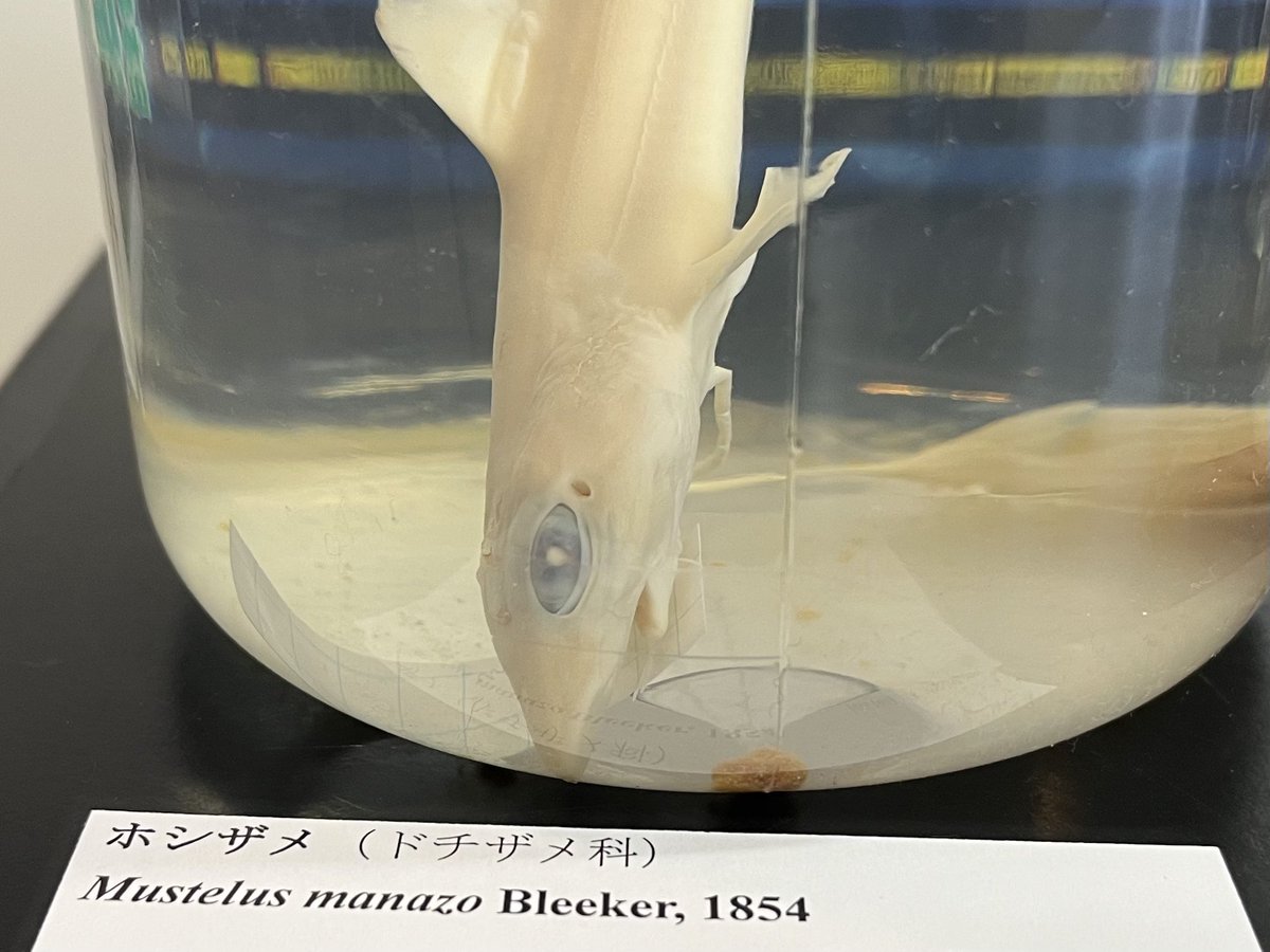 動脈。'26💜🍬🗼 (@scienceheart0) / Posts / X