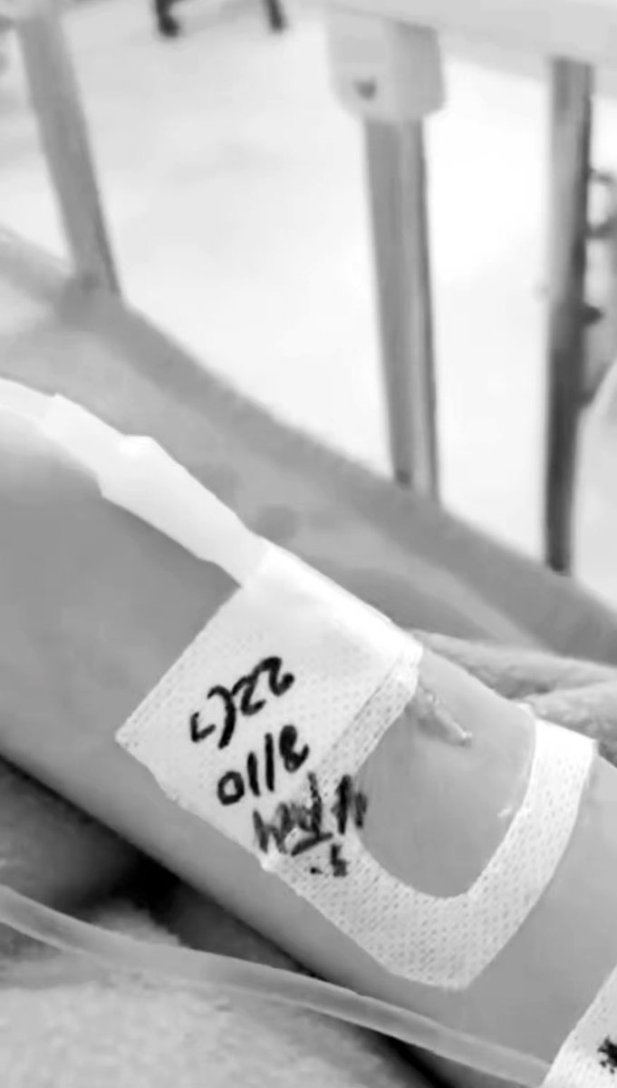 고냐니 tweet media