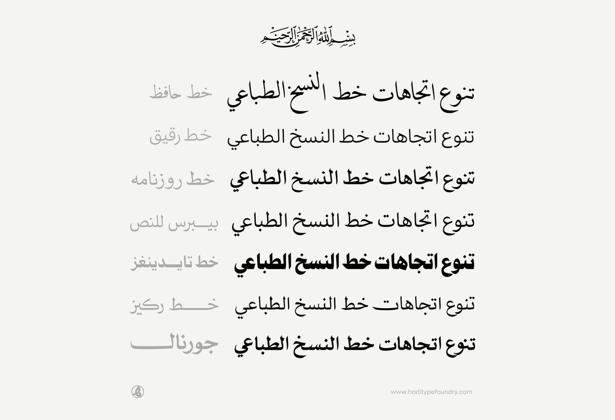 في HadiType نعمل على تطوير خط النسخ الطباعي الحديث ليجمع بين أصالة الخط العربي ومتطلبات القراءة الرقمية المعاصرة، 
يتجسد ذلك في خطوط مخصصة للنصوص الطويلة مثل روزنامه، بيبرس للنص، تايب دينغز، وخط حافظ، إلى جانب حلول عصرية للواجهات الرقمية مثل ركيز ورقيق.