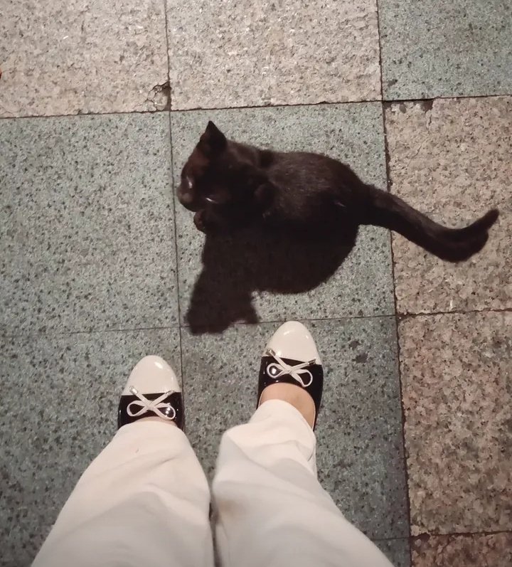 seancortieys's tweet image. user seancortieys off twt