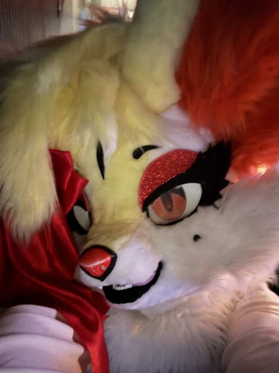 poxphox's tweet photo. furghsdeighs https://t.co/7m74MQ4pMC