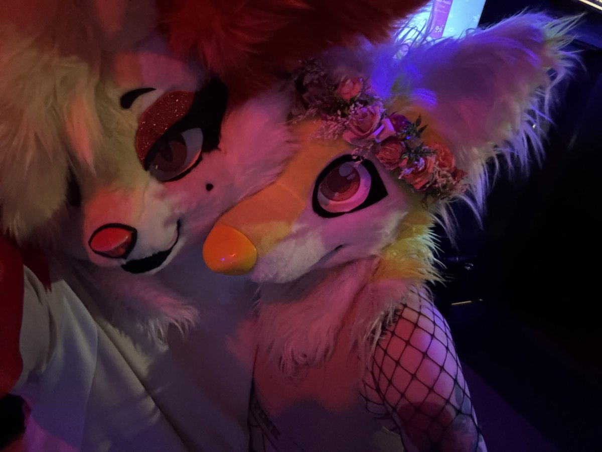 poxphox's tweet photo. furghsdeighs https://t.co/7m74MQ4pMC