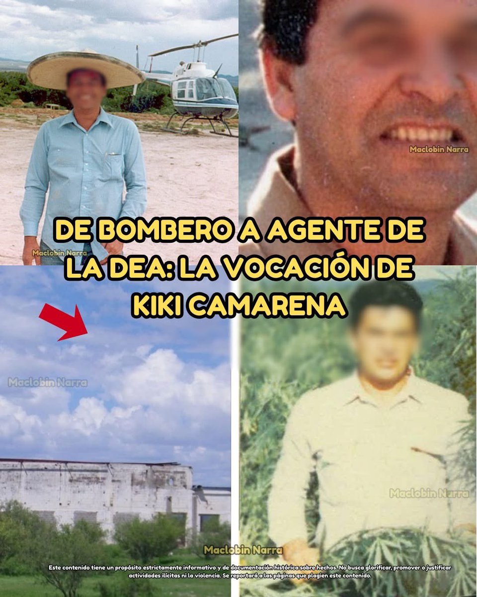 Furia_Tinta's tweet photo. 🔥 DE APAGAR INCENDIOS EN CALEXICO A DESTAPAR EL NARCO-ESTADO: EL SACRIFICIO DE KIKI CAMARENA 🚒🕵️‍♂️

En la historia de la lucha contra las sustancias, pocos nombres resuenan con la fuerza trágica de Kiki Camarena. Nacido en Mexicali pero criado en California, Camarena tenía un instinto natural de protección. Antes de portar la placa de la DEA, su primer uniforme fue el de bombero en la ciudad fronteriza de Calexico. Su carrera demuestra una evolución en su deseo de servir: primero salvando vidas de los incendios físicos, luego como policía local y finalmente, uniéndose a la DEA para combatir un "incendio" social que cruzaba fronteras y destruía comunidades a ambos lados.

🕵️‍♂️ 1. La Misión: Infiltrarse en la Boca del Lobo En 1981, Camarena fue asignado a la oficina de la DEA en Guadalajara. En ese momento, la ciudad no era una plaza más; era la capital mundial del narcotráfico, el hogar de "La Federación" dirigida por Miguel Ángel Félix Gallardo, Rafael Caro Quintero y Ernesto Fonseca Carrillo.

El Trabajo: Kiki no era un espía de película. Su labor era mucho más peligrosa: inteligencia de campo. Cultivó una red profunda de informantes (desde campesinos hasta policías corruptos) para mapear la estructura y las operaciones del cártel. Su talento era ganarse la confianza de la gente y conectar los puntos que nadie más veía.

🌾 2. El Golpe Maestro: Rancho "El Búfalo" (1984) La culminación de su trabajo de inteligencia ocurrió en noviembre de 1984. Gracias a la información recabada por Camarena y su equipo, las autoridades mexicanas (presionadas por EE.UU.) realizaron una redada histórica en el Rancho El Búfalo, propiedad de Caro Quintero.

El Impacto: Se destruyeron miles de toneladas de marihuana con un valor de mercado estimado en 8 mil millones de dólares. No fue solo un golpe financiero; fue una humillación pública para el cártel, que se creía intocable bajo la protección de la Dirección Federal de Seguridad (DFS).

💔 3. La Venganza y la Traición (Febrero 1985) El cártel sabía que la información había salido de la DEA. La orden fue dada: encontrar al responsable. El 7 de febrero de 1985, Kiki Camarena fue desaparecido a plena luz del día saliendo del consulado americano en Guadalajara.

La Realidad Oscura: Lo más trágico no fue que los nar*-cos lo atraparon, sino que fueron policías mexicanos (elementos de la DFS y judiciales) quienes lo entregaron a Caro Quintero y sus socios. El "bombero" que quería salvar a la sociedad fue entregado por aquellos que juraron protegerla.

🇺🇸🇲🇽 4. El Legado: Operación Leyenda Tras días de interrogatorio, el cuerpo de Kiki fue encontrado en Michoacán en marzo de 1985. Su muerte no fue en vano. Desató la furia del gobierno de Estados Unidos, que lanzó la Operación Leyenda, la cacería humana más grande en la historia de la DEA. El sacrificio de Camarena obligó a México a desmantelar la corrupta DFS y a detener a los líderes del Cártel de Guadalajara. Su muerte marcó el fin de la "Pax Mafiosa" y cambió para siempre las reglas del juego bilateral.

🧠 Enrique Camarena pasó de combatir el fuego con agua a combatir el crimen con inteligencia. Su historia es un recordatorio brutal del costo humano en esta guerra. Kiki demostró que un solo agente honesto, armado solo con información y valentía, podía hacer tambalear un imperio criminal de billones de dólares, aunque el precio fuera su propia vida.

¿Crees que la muerte de Kiki Camarena fue el punto de no retorno en la violencia entre cárteles y el Estado? 👇

Este contenido es una crónica biográfica basada en hechos históricos y reportes de la DEA sobre el caso Camarena. Contenido meramente documental y narrativo. No se busca enaltecer a los involucrados ni hacer apología del delito. Relatos basados en registros históricos.