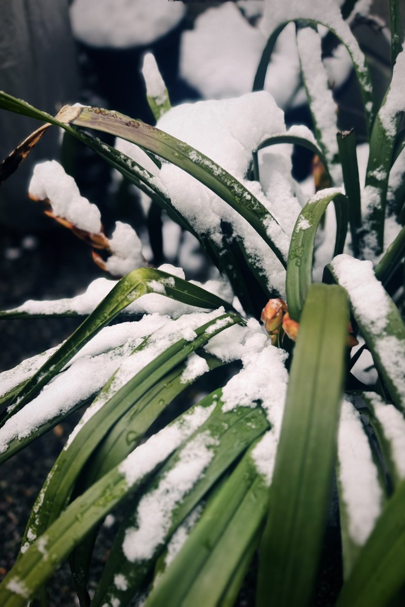 みつる tweet media