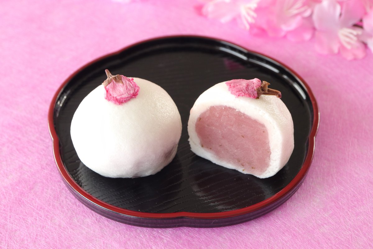 【公式】かもめテラス/かもめの玉子 tweet media