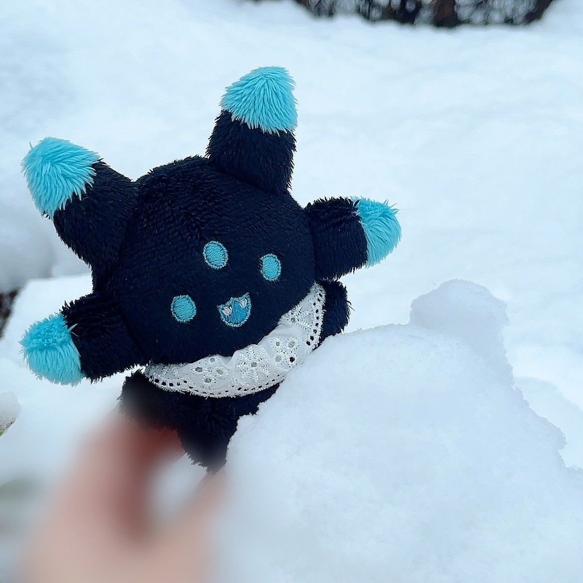 はじめての雪だねぇ❄️