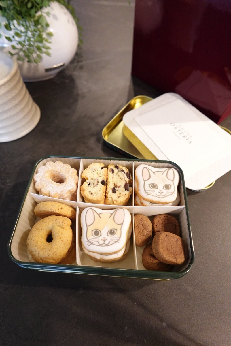 ₍ᐢ‥ᐢ₎ ♡ tweet media