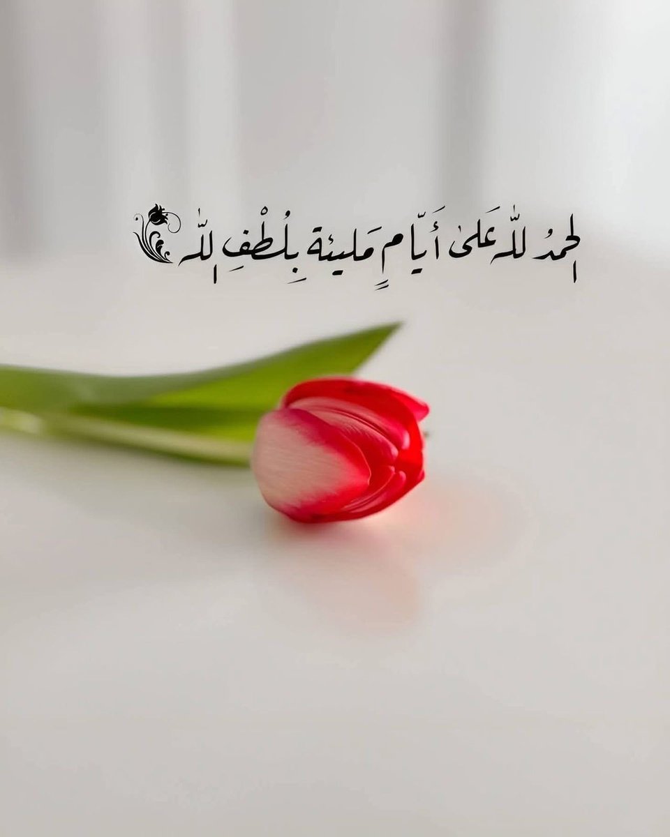 Mahfood Al balushi tweet media