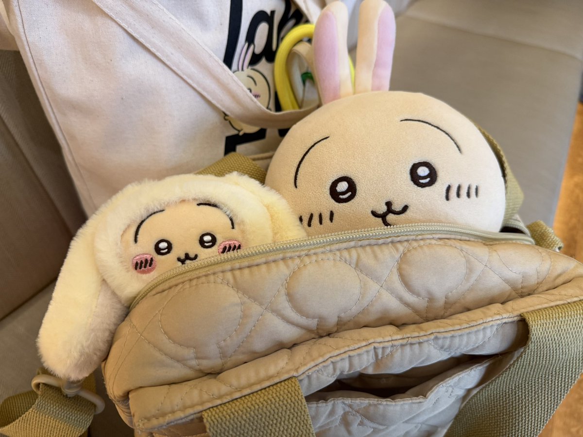 さぁたろ (@s0918k) / Posts / X