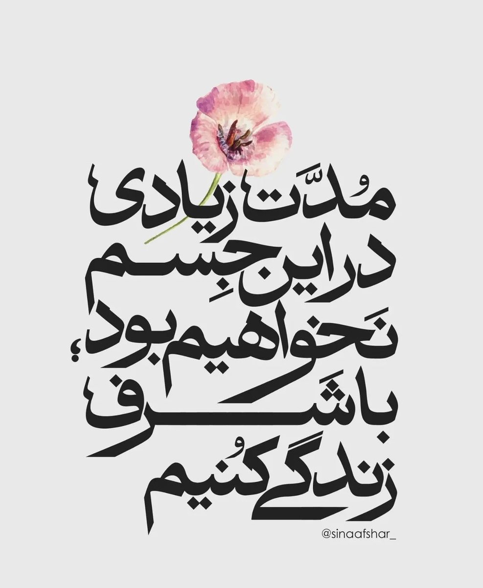 تمام فلسفه زندگی همینه