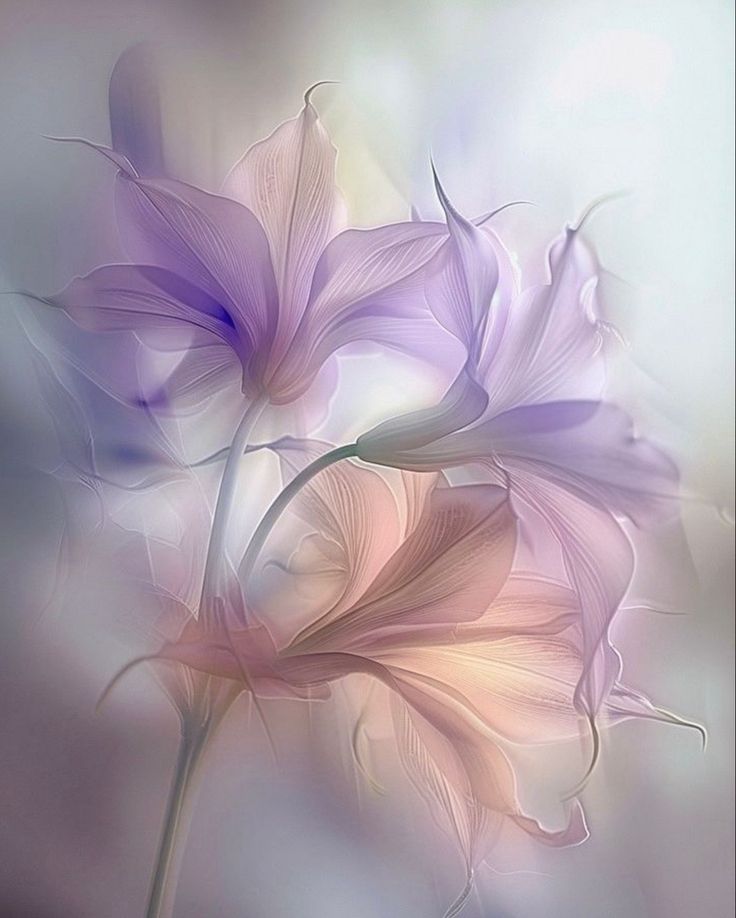 Sonia ☮ tweet media
