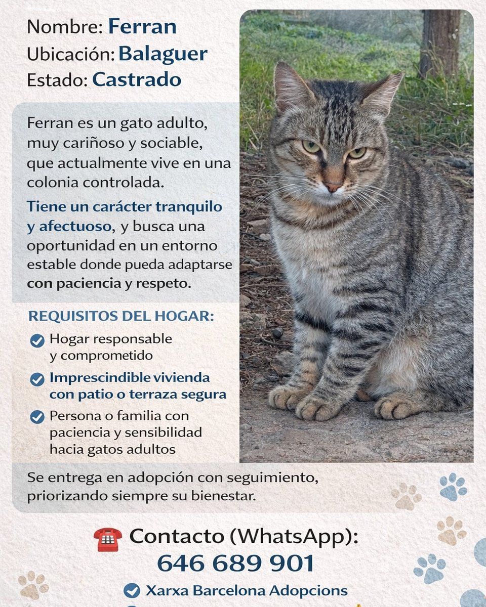 Ayudemos a FERRÁN!!!!

Puede MORIR en la calle

Está en #BALAGUER #BARCELONA