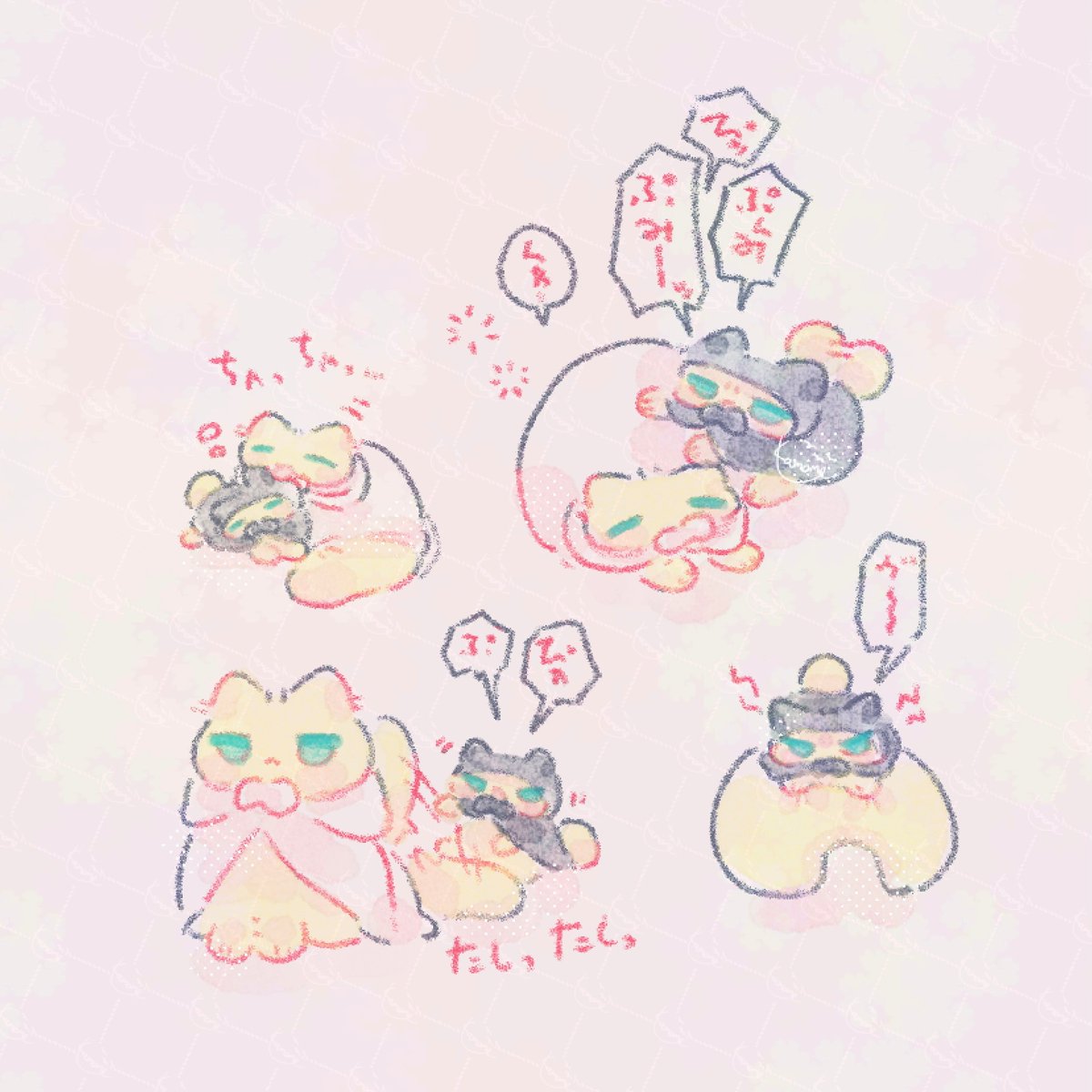 ねこねこねこ…🐈🐈‍⬛