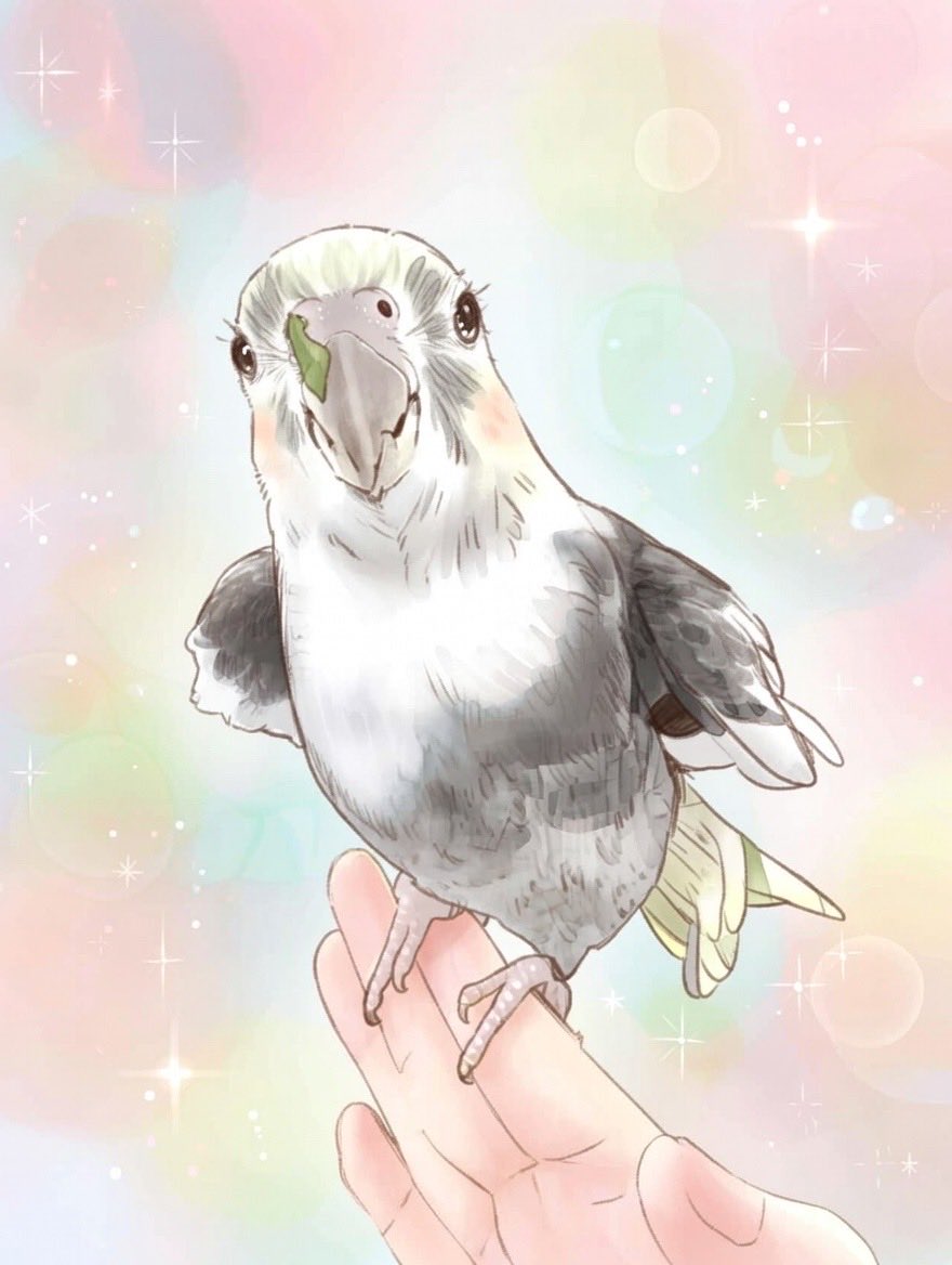 moosolyu's tweet photo. ジョジョ風にして貰ったむーちゃんそるちゃんと少女漫画風にして貰ったむーちゃんそるちゃん
凄いww https://t.co/jM9kYI7Ex5