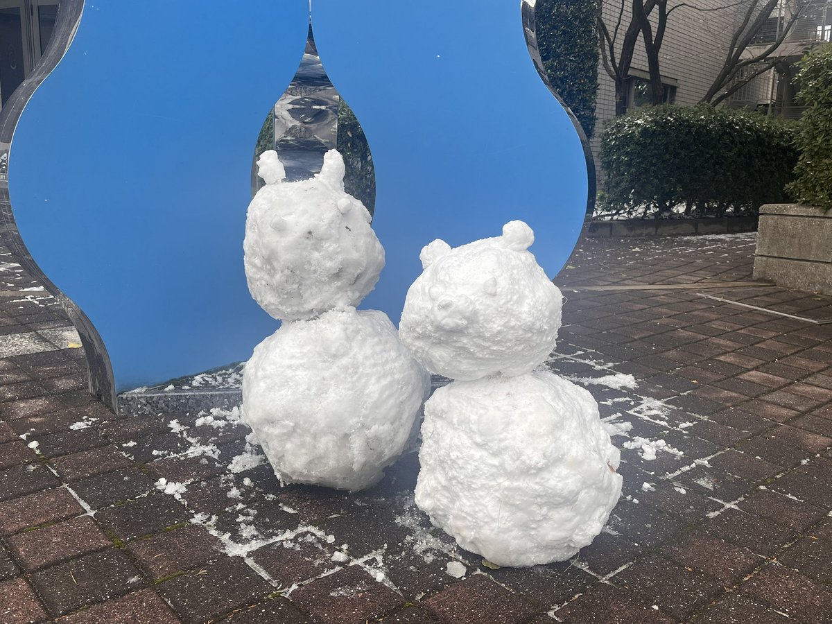 雪ふったぞーーー！/ 本日はこの地域では珍しく雪が積もりました