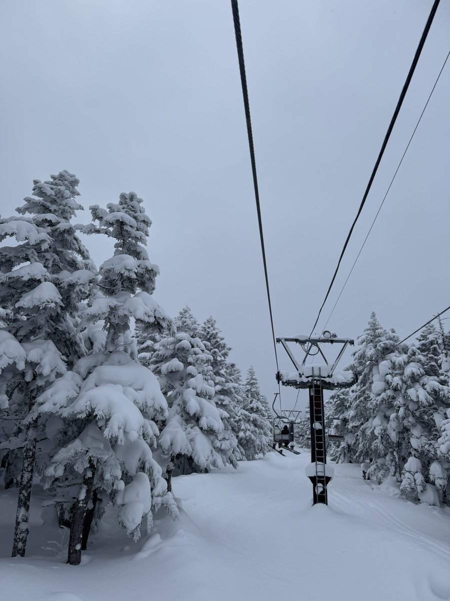 yao77's tweet photo. 珍しくスノートリップで天元台へ
雪はめちゃ軽いが、日中なのに、ニセコのナイター並みの寒さ。笑うしかない
すぐに解凍しましたw https://t.co/0hXWfgVSCm