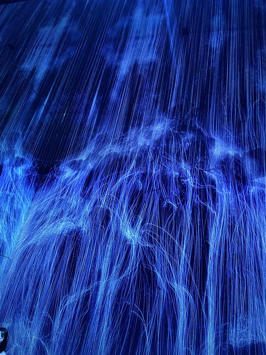 チームラボ京都