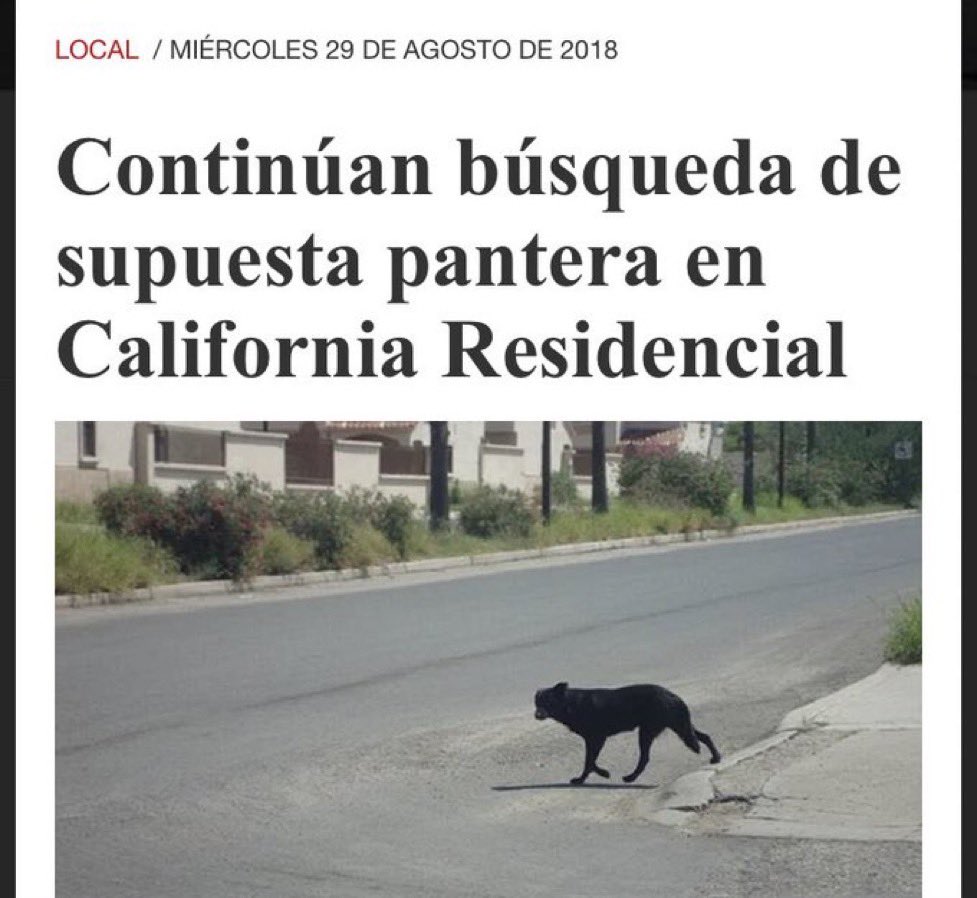 Hermosillo Out Of Context. tweet media