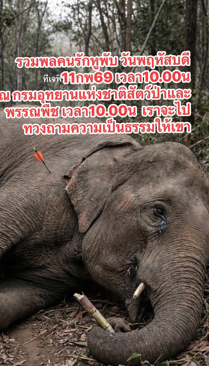 แอนนา back to the states🇺🇸 tweet media