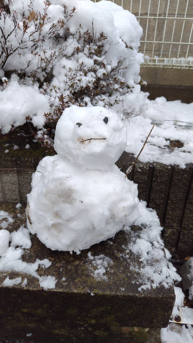 koto_224's tweet photo. 我が家の家訓「雪が降ったら何かを作れ」、久々に完遂しました。実家の母は雪でシマエナガを量産したそうです。 https://t.co/SXK2coB1cJ