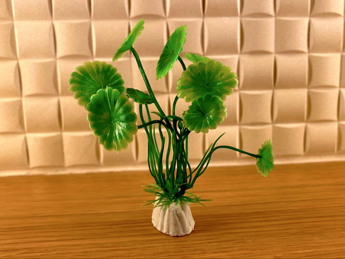 mughiko's tweet image. きのう100円ショップで衝動買いしてきた人工水草、色もシルエットもかなり好みです。手刺繍と合体させる実験、、
やろうやろう🧪😁🌡️

#慕情実験室 #bojyo_embroidery #laboratory