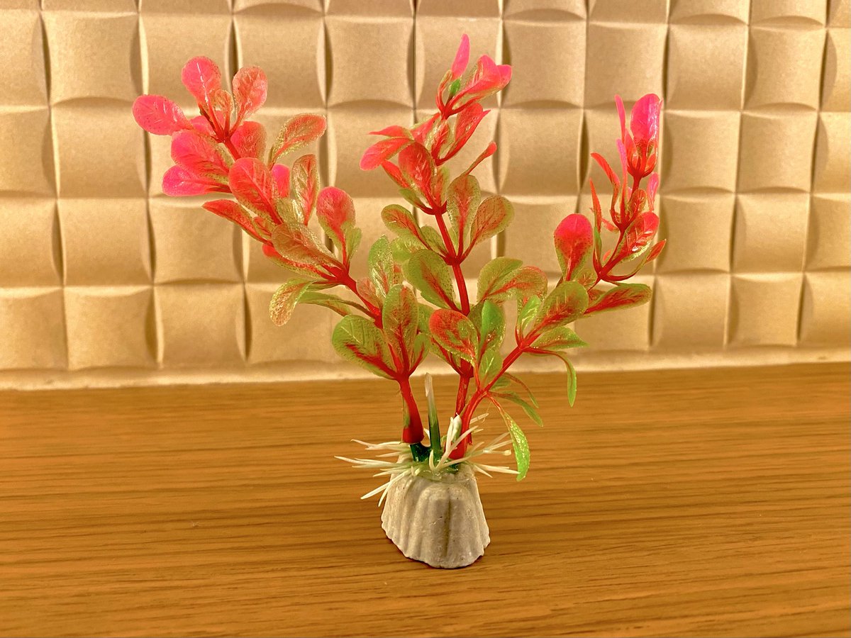 mughiko's tweet image. きのう100円ショップで衝動買いしてきた人工水草、色もシルエットもかなり好みです。手刺繍と合体させる実験、、
やろうやろう🧪😁🌡️

#慕情実験室 #bojyo_embroidery #laboratory