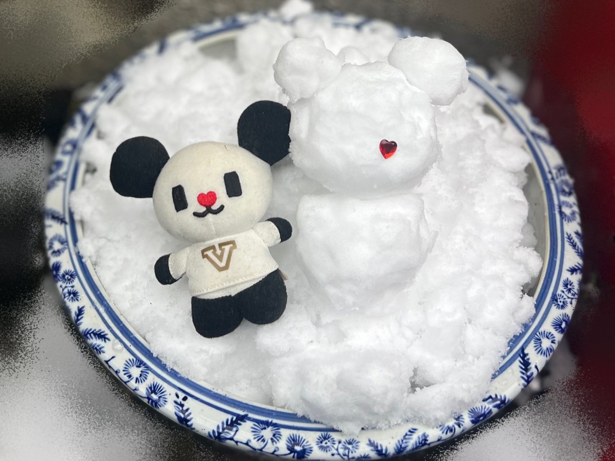 ゴーちゃん。 (@gochan_V) / Posts / X