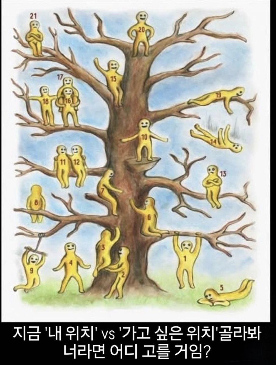 캣츠파파 tweet media