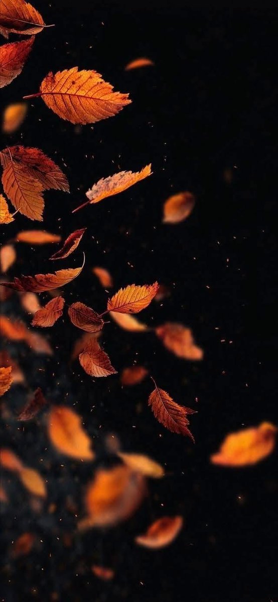 HDخلفيات 🖼 (@hd990hd) on Twitter photo 