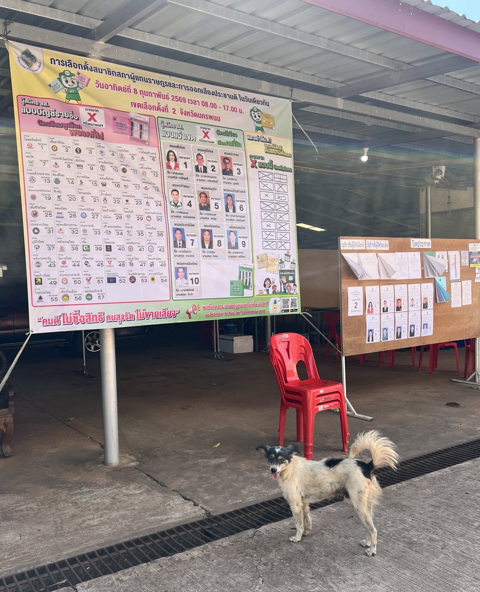 เป็นม๋าก็มาใช้สิทธิคับบบ