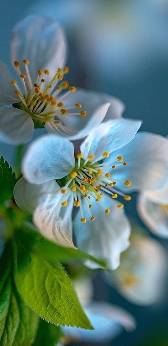 HDخلفيات 🖼 (@hd990hd) on Twitter photo 