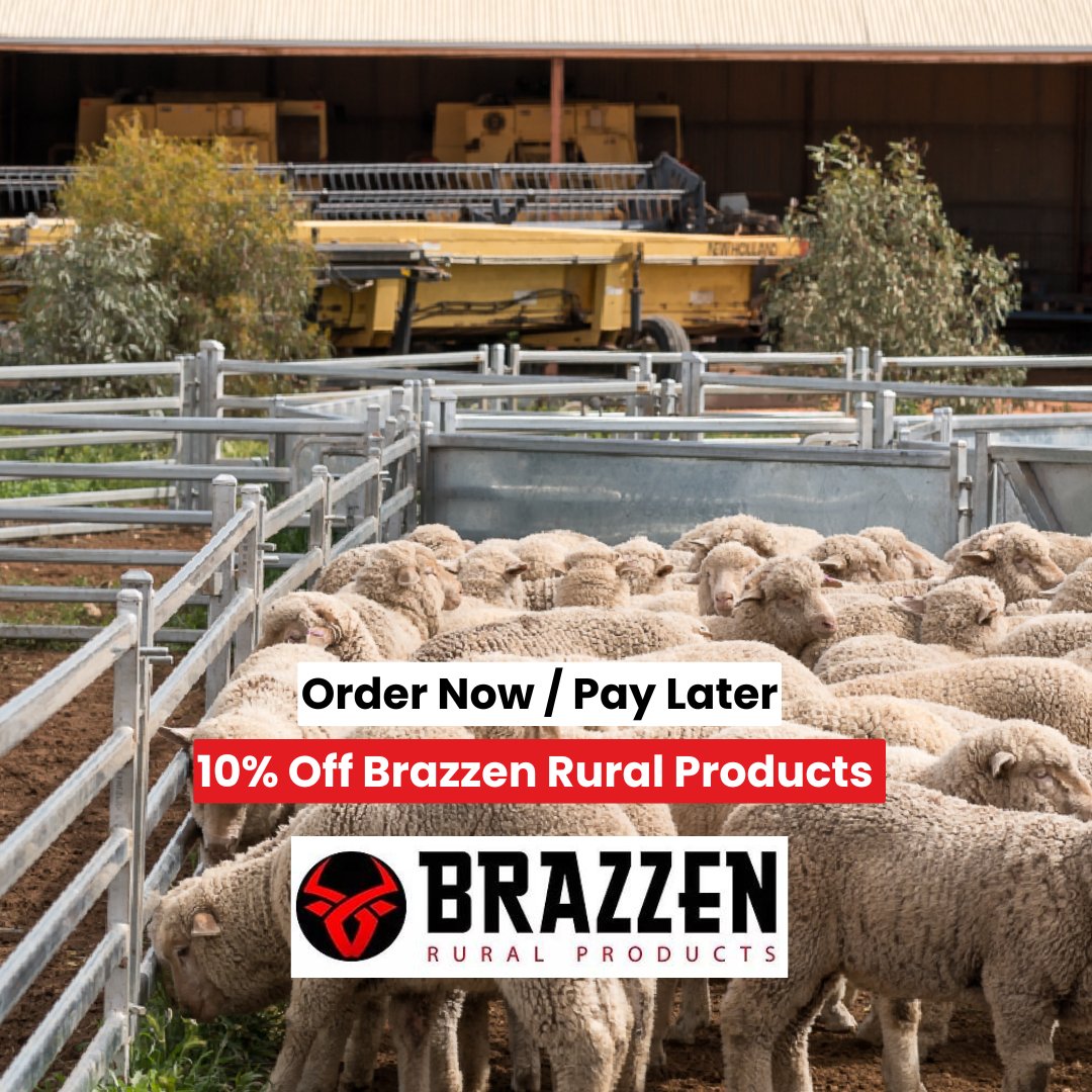 LIENERT ENGINEERING tweet media