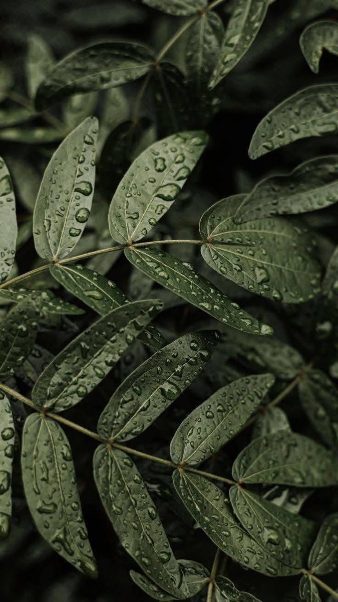 HDخلفيات 🖼 (@hd990hd) on Twitter photo 