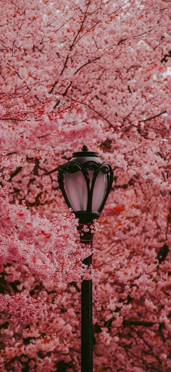 HDخلفيات 🖼 (@hd990hd) on Twitter photo 