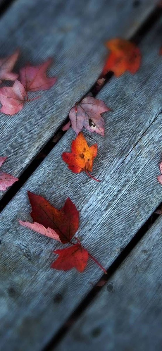 HDخلفيات 🖼 (@hd990hd) on Twitter photo 