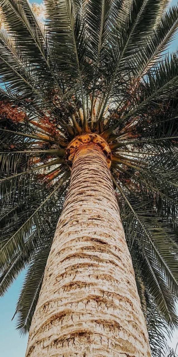 HDخلفيات 🖼 (@hd990hd) on Twitter photo 