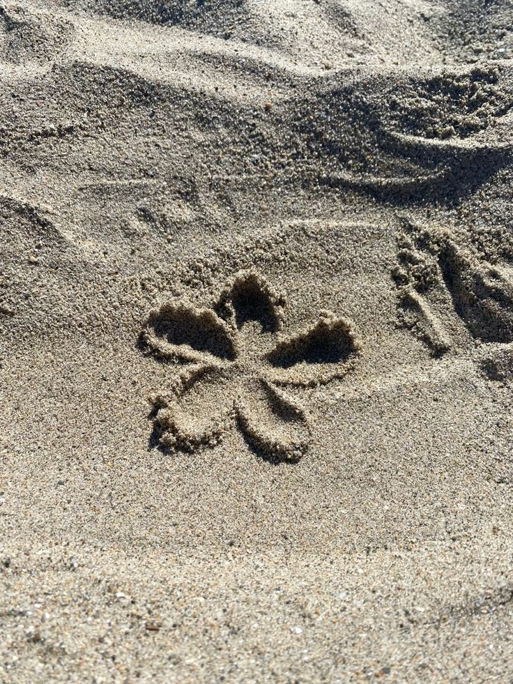 Blossom Beauty (@blossombeauty56) on Twitter photo 