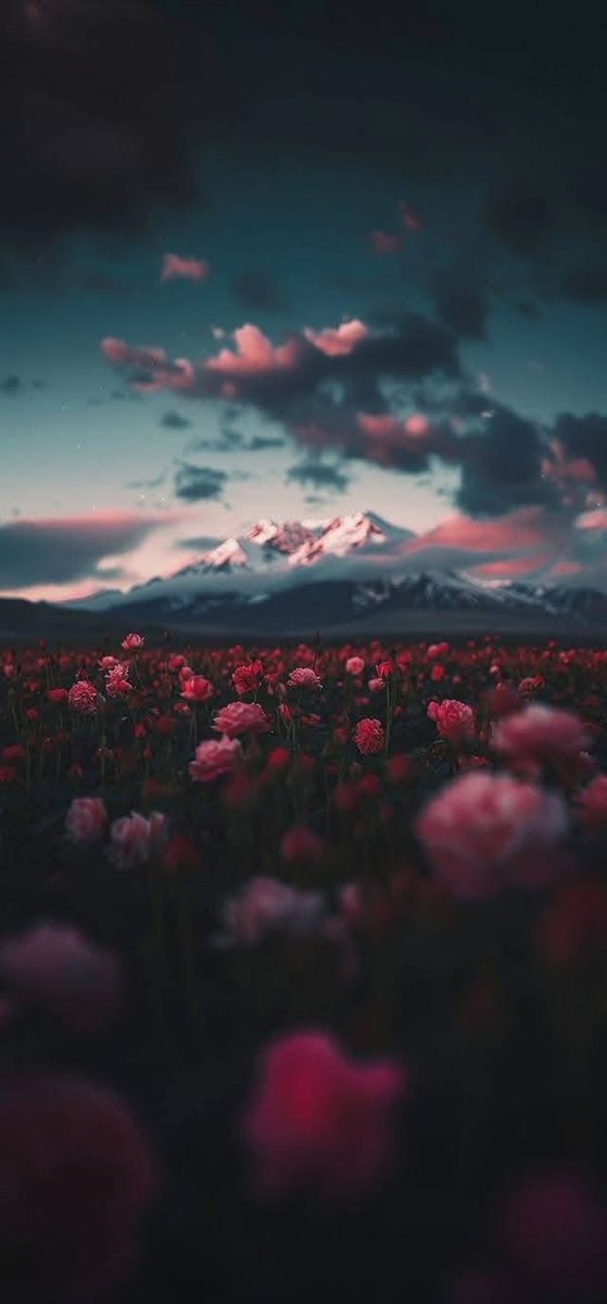 HDخلفيات 🖼 (@hd990hd) on Twitter photo 