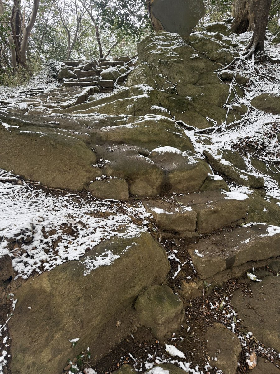 せっかくの雪だから近所の山に