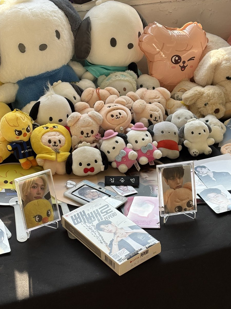 아주 만족스러운 하루엿음. 인형들 다 너무 귀엽고!!!! 이쁘게 잘 꾸며져있어서 아주 좋앗습니다김승민NFC키링 나에게로 왓구나💕
 #이번_판은_배복클에게_올인