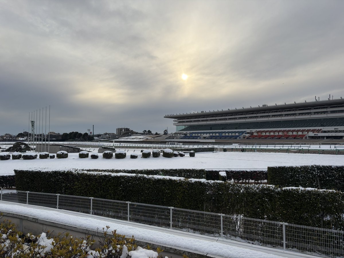 eclipse__first's tweet image. 中山競馬場⛄️