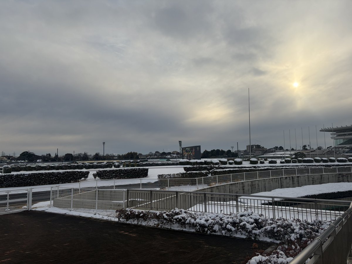 eclipse__first's tweet image. 中山競馬場⛄️