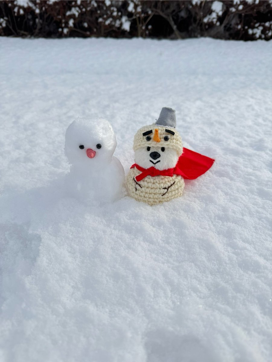 雪ダルマン出動！！
\ﾊﾟｳﾀﾞｰｽﾉｰ ﾀﾞｯ/⛄️
 #クオッカちゃんのいる生活